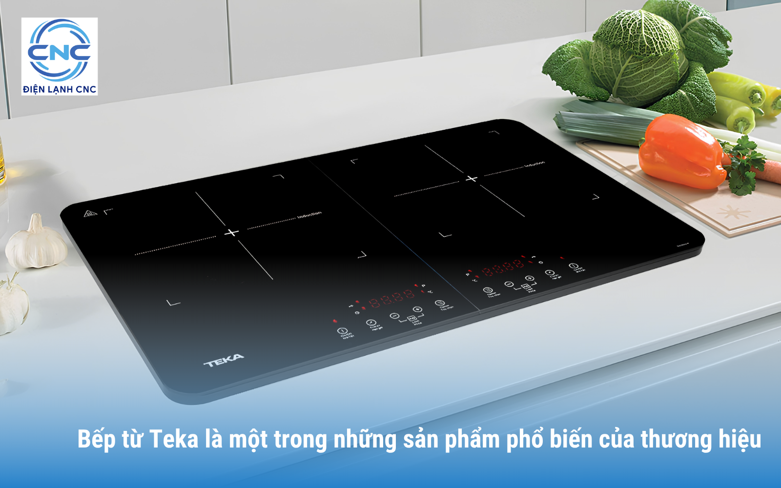 Bếp từ Teka - Bảo hành Teka tại Trung tâm Điện lạnh CNC